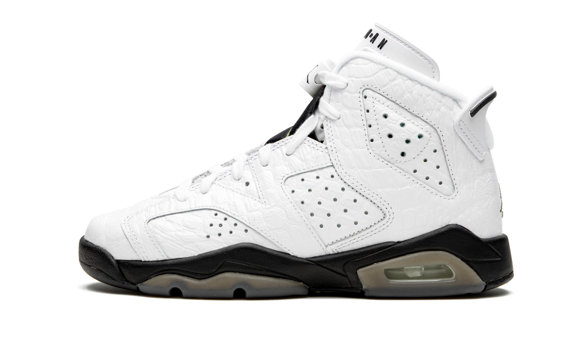 Air Jordan 6 Retro GS "Alligator" 384665 110