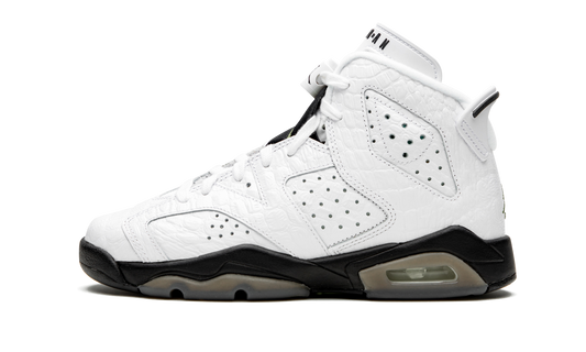 Air Jordan 6 Retro GS "Alligator" 384665 110