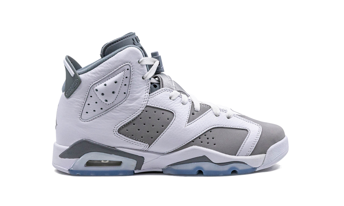 Air Jordan 6 GS "Cool Grey" 384665 100