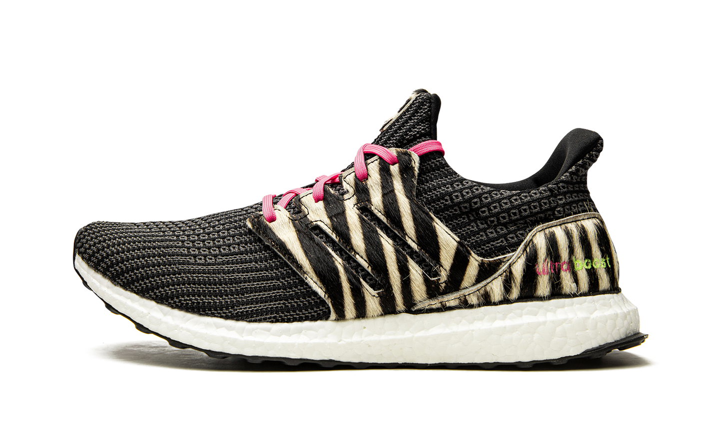 Ultraboost DNA "Animal Pack-Zebra" FZ2730