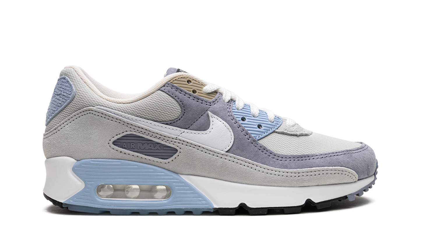 Air Max 90 "Ashen Slate" DM0035 400