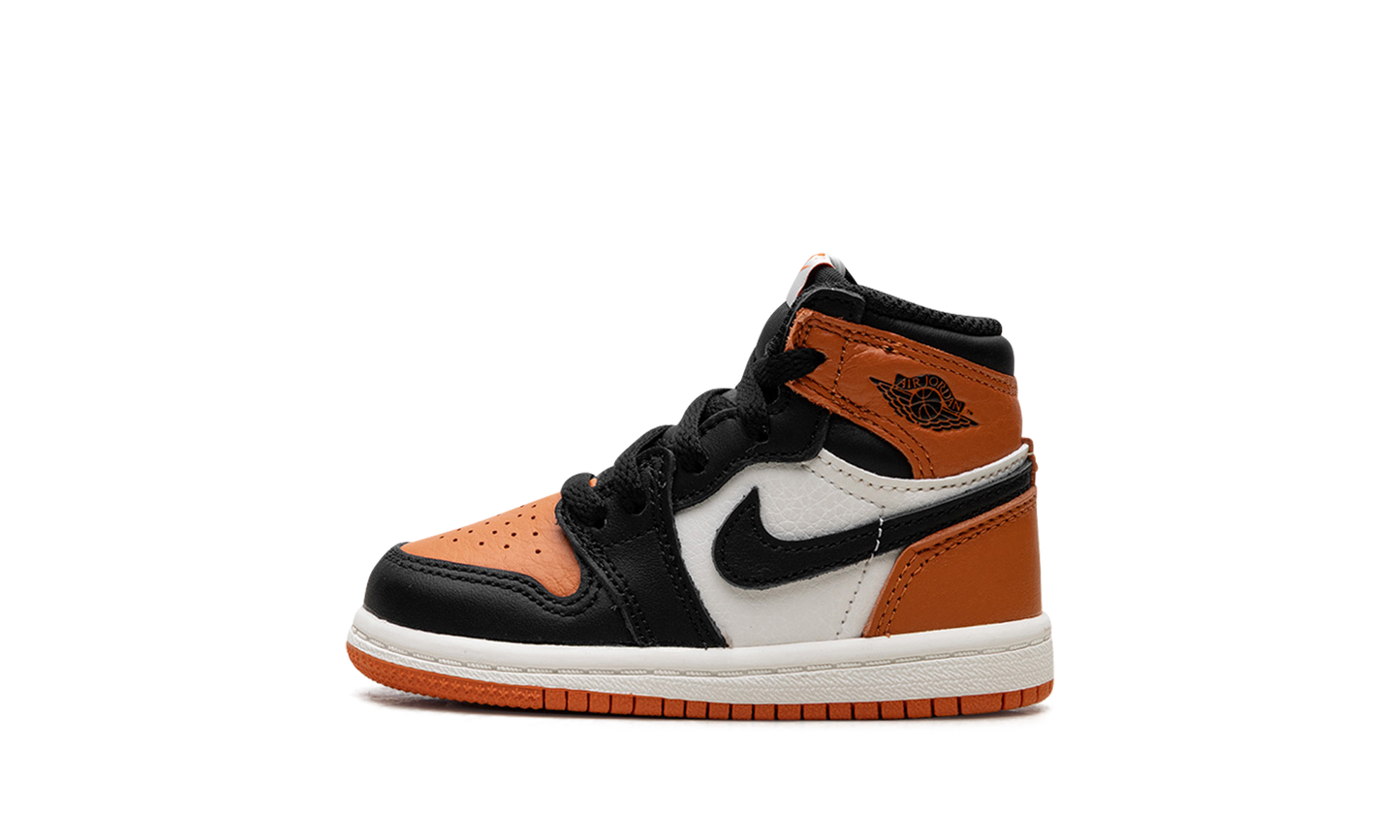 Air Jordan 1 Retro High OG TD "Shattered Backboard" FD1413 008