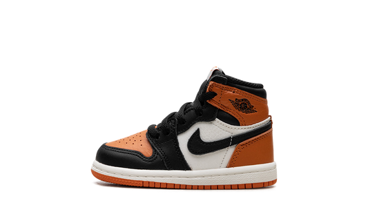 Air Jordan 1 Retro High OG TD "Shattered Backboard" FD1413 008