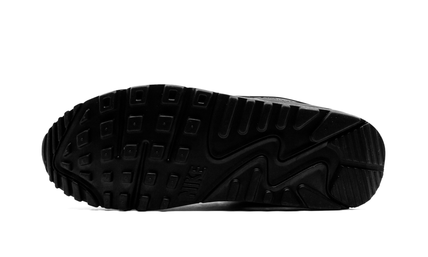 Air Max 90 "Iron Grey" CN8490 002