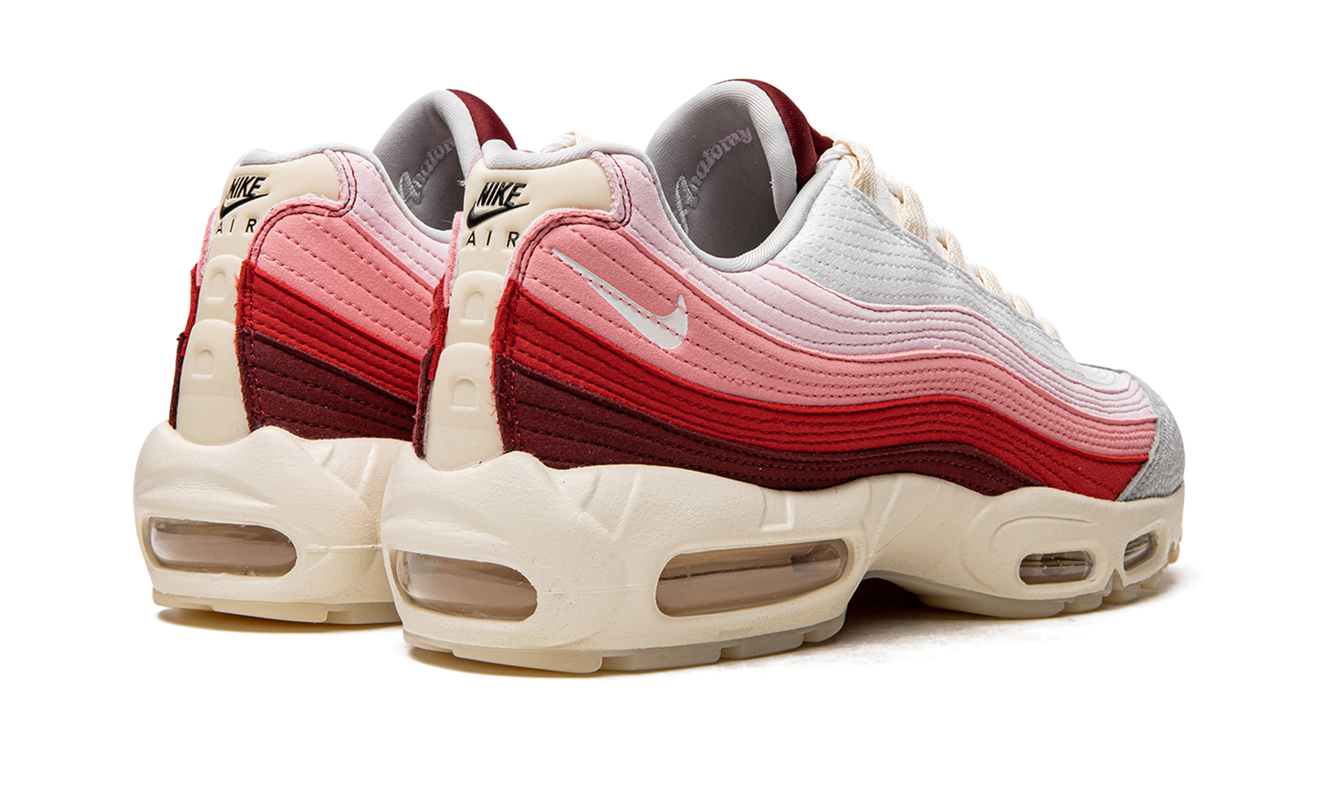 Air Max 95 QS "Anatomy of Air" DM0012 600
