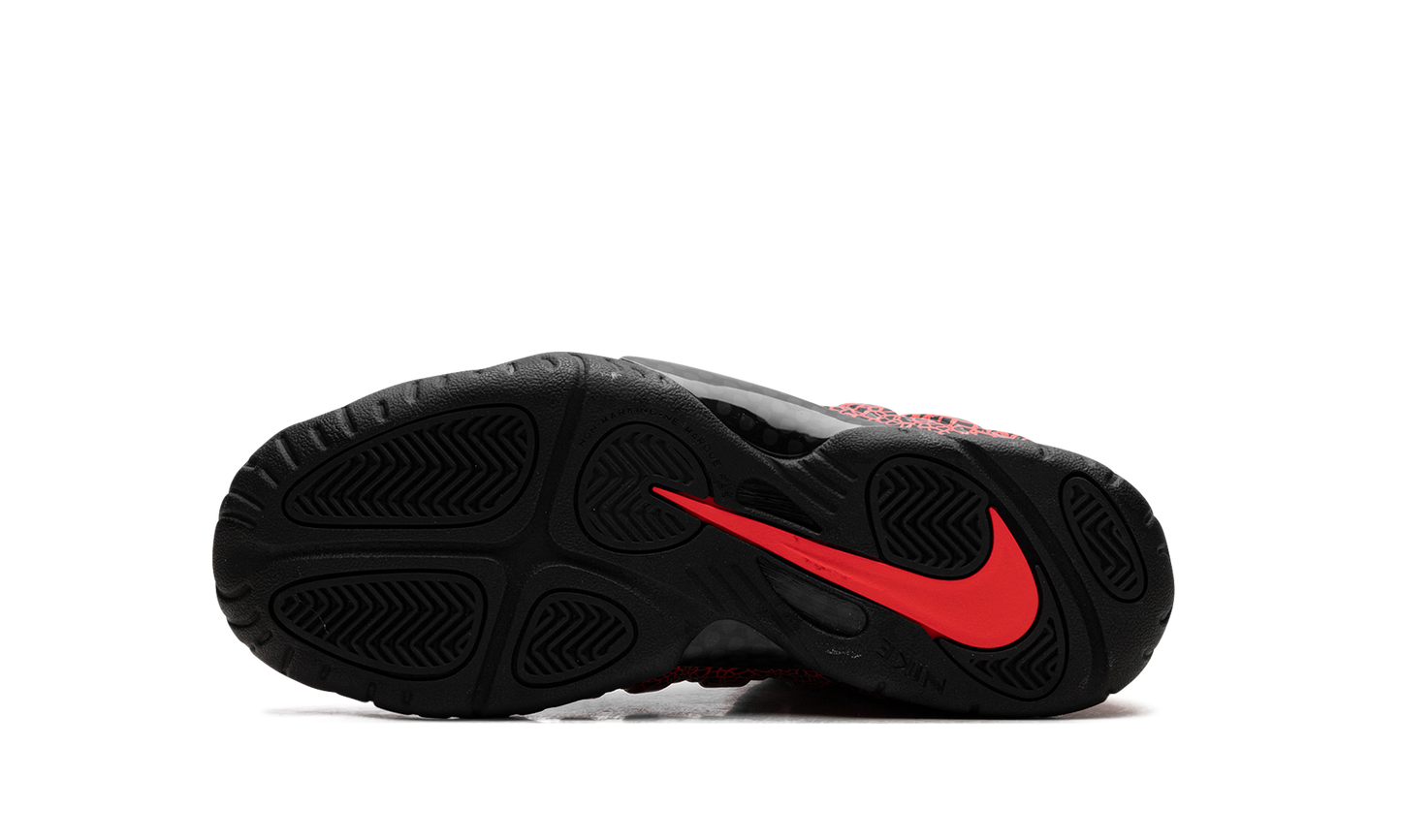 Little Posite One GS 644791 012