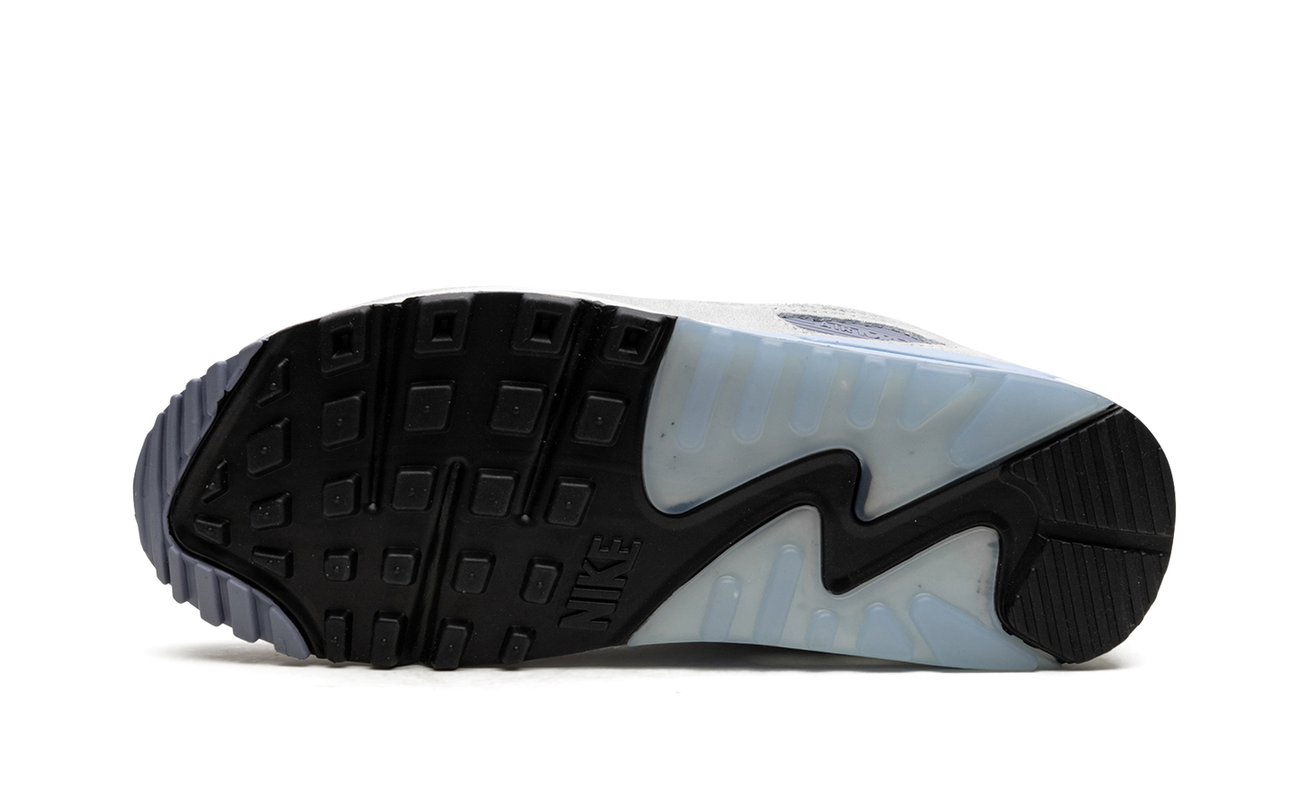 Air Max 90 "Ashen Slate" DM0035 400
