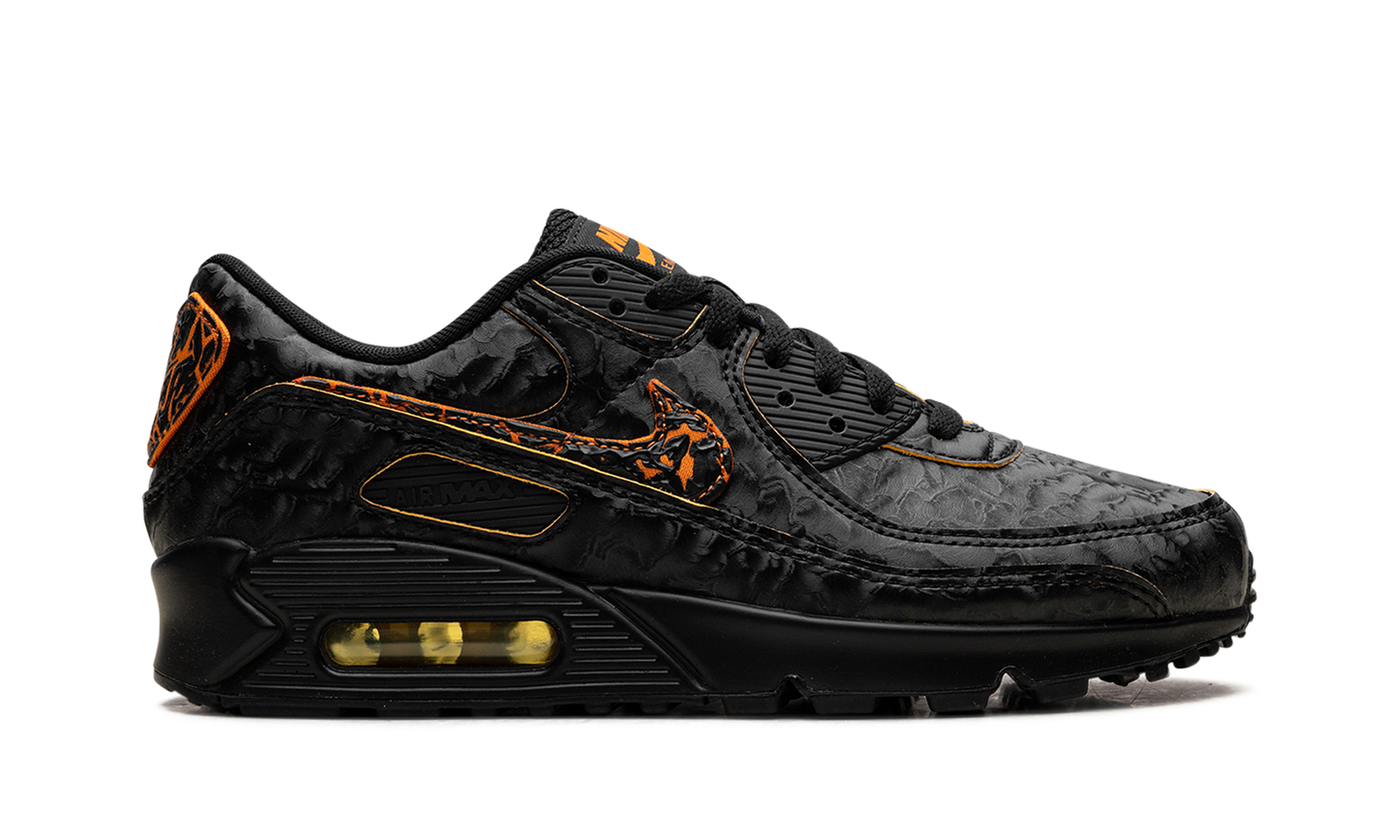 Air Max 90 "Volcano" HF3248 001