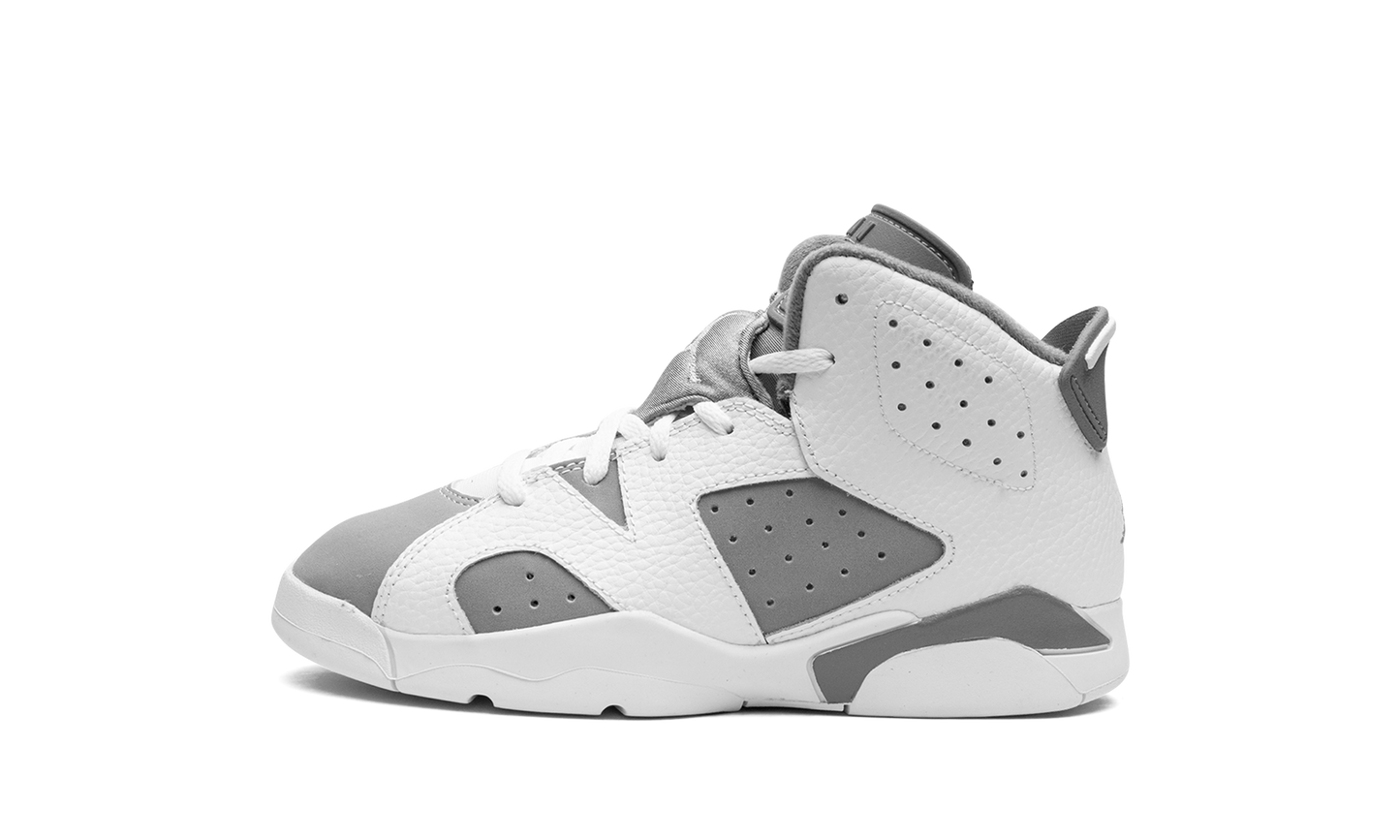 Air Jordan 6 PS "Cool Grey" DV3605 100