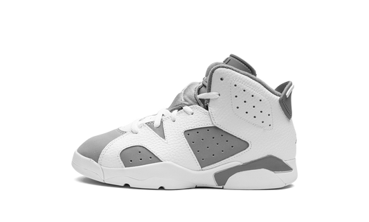 Air Jordan 6 PS "Cool Grey" DV3605 100
