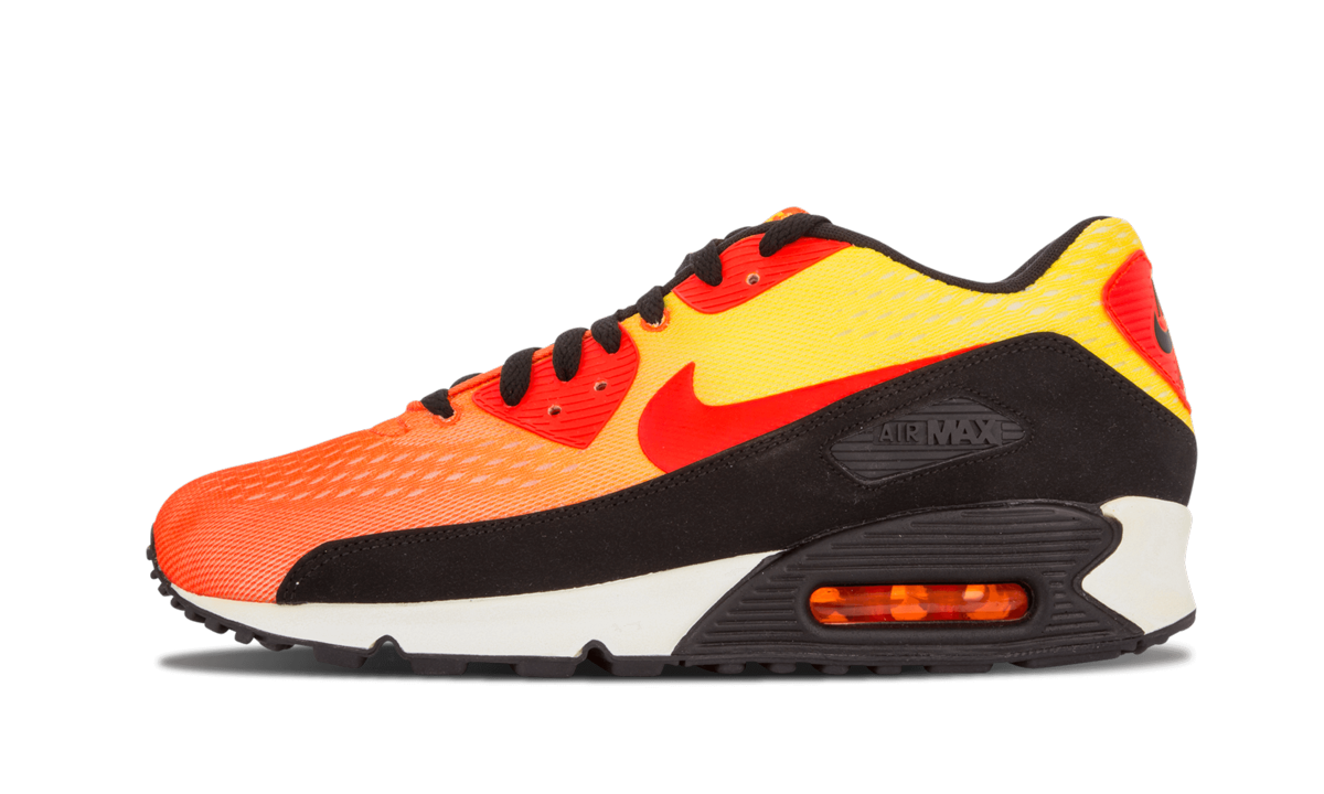 Air Max 90 EM "Sunset Pack" 554719 887