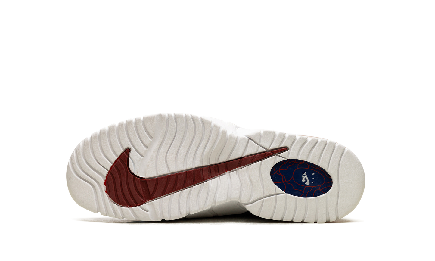 Air Max Penny Le (Gs)