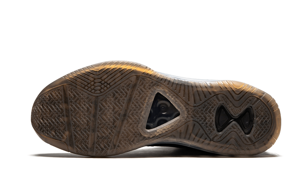 Lebron Icon QS "John Elliott" AQ0114 001