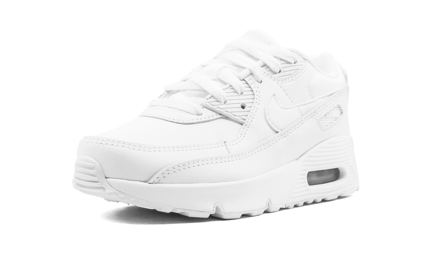 Air Max 90 CD6867 100