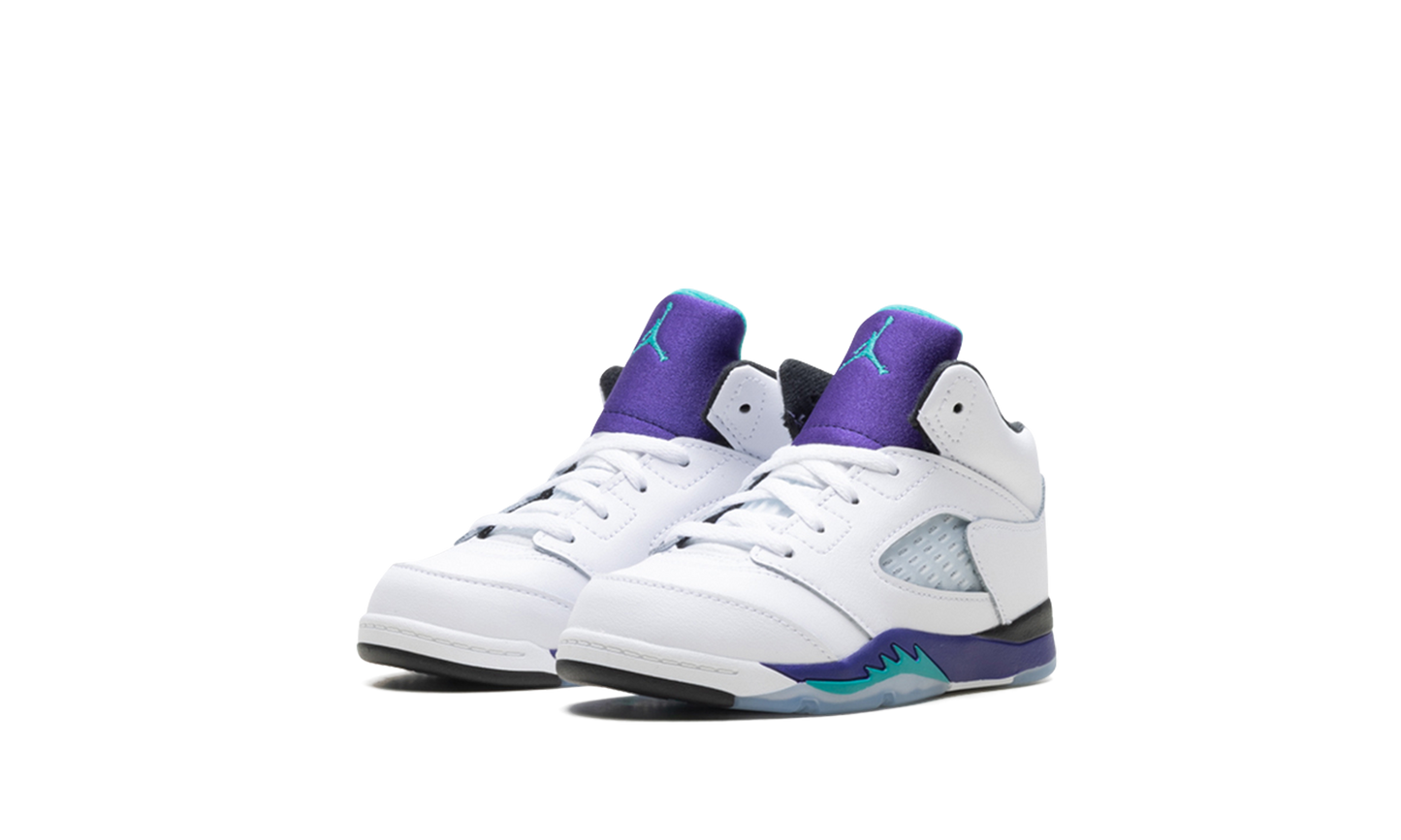 Jordan 5 Retro TD "Grape (2025)" HQ7981 100