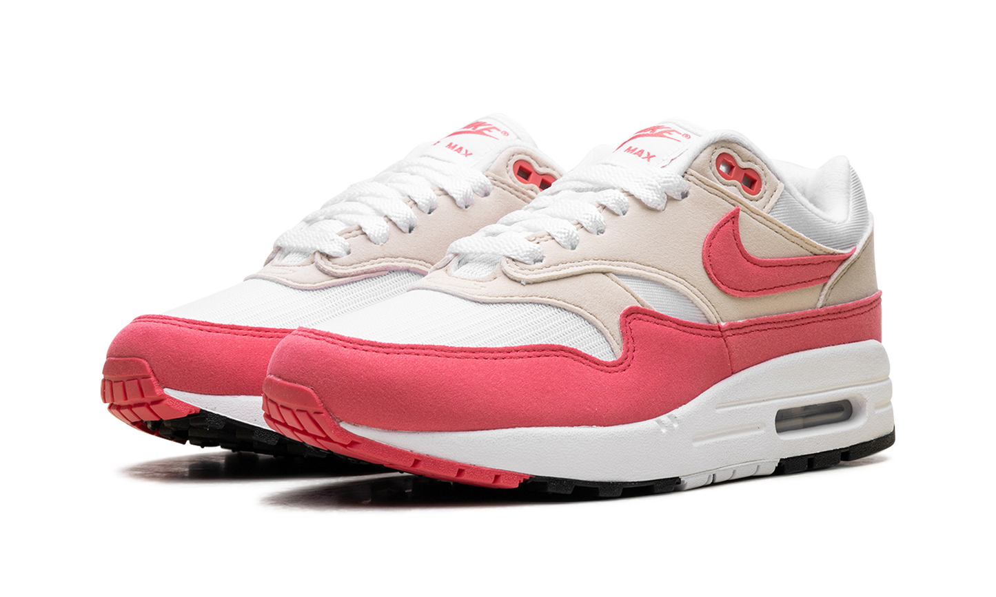Air Max 1 WMNS "Aster Pink" DZ2628 110