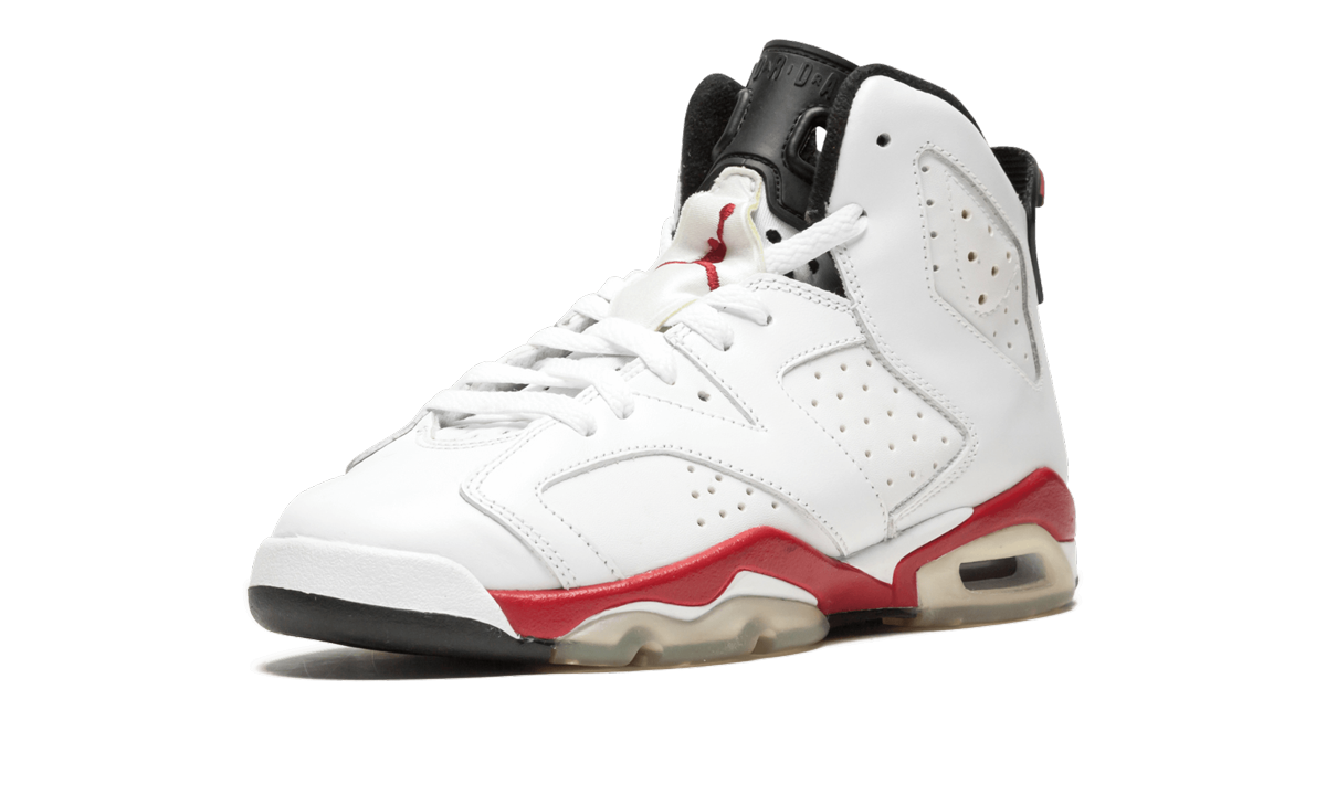 Air Jordan 6 Retro GS 384665 102