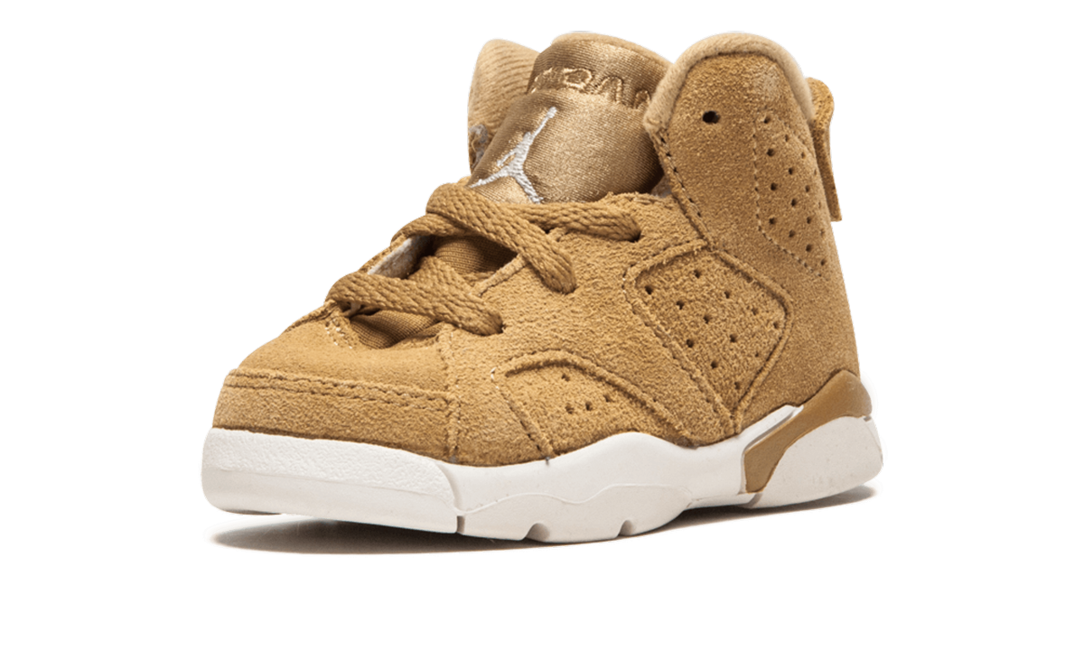 Jordan 6 Retro BT TD "Wheat"