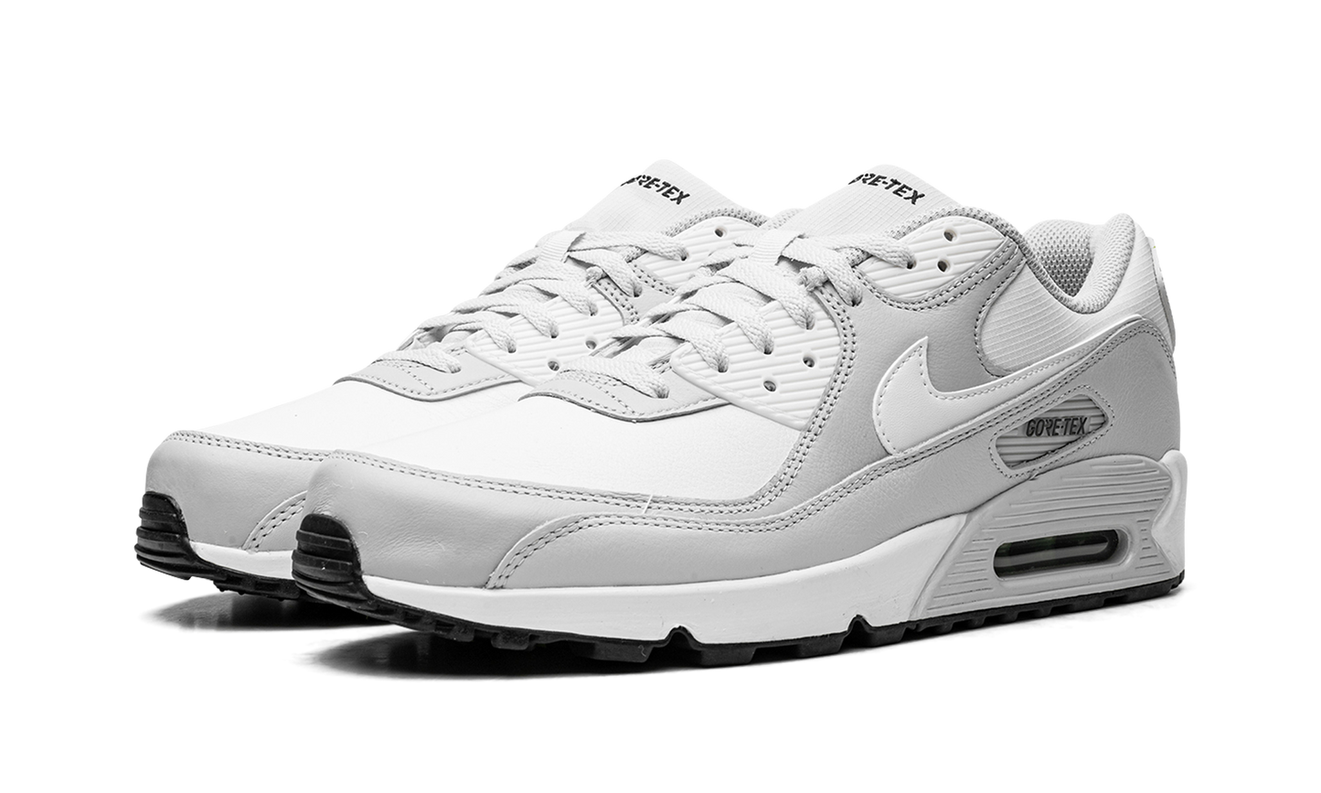 Air Max 90 "Gore-Tex" DJ9779 003