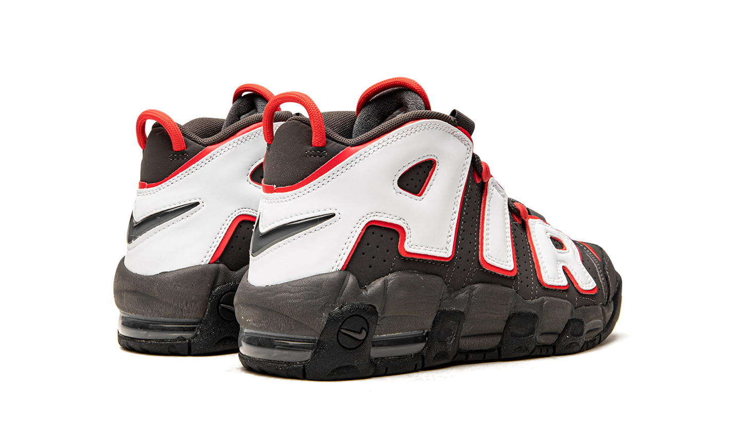 Air More Uptempo GS "Brown Bulls" DH9719 200