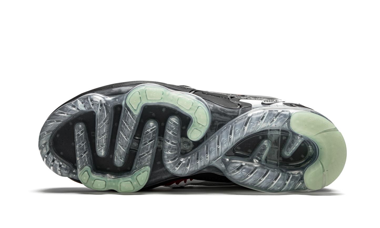 Air Vapormax EVO NRG "Collector's Closet"