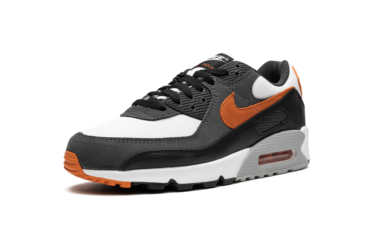 Air Max 90 "Starfish" DM0029 101