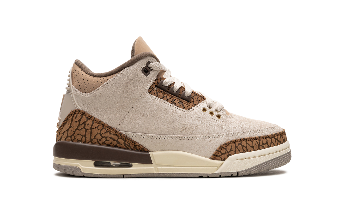 Air Jordan 3 GS "Palomino" DM0967 102