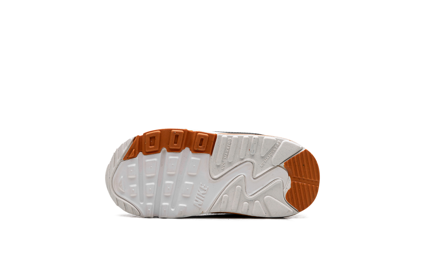 Air Max 90 LTR TD "PURE PLATINUM" CD6868 023