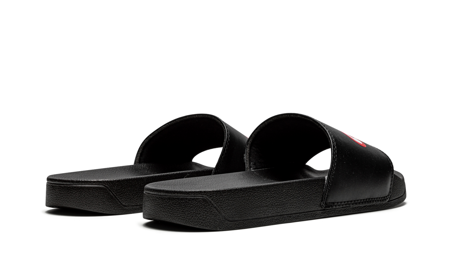 Cacti Slides "Cacti" CACT FS42