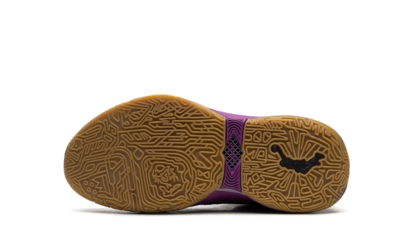 LeBron 20 GS "Young Heirs" FD0207 500