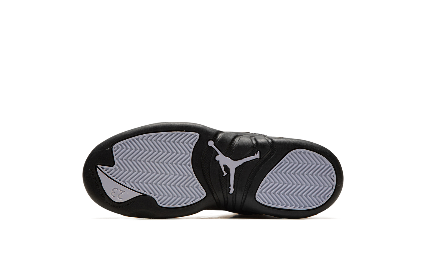 Air Jordan 12 PS "Floral PS" DR6954 100