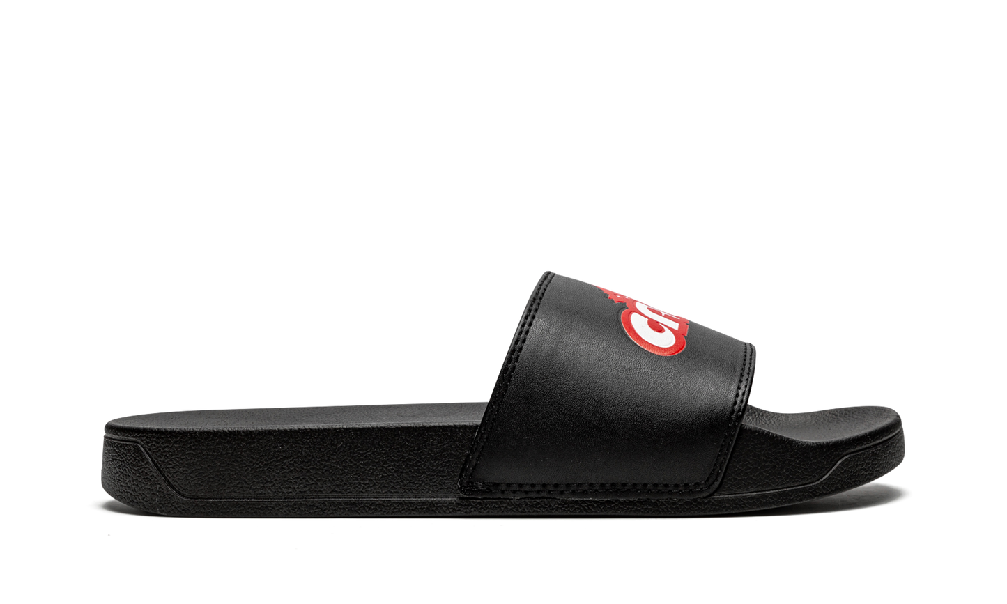 Cacti Slides "Cacti" CACT FS42