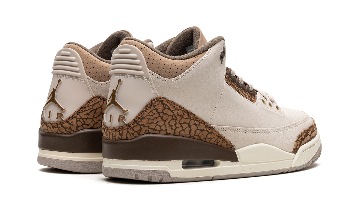 Air Jordan 3 "Palomino" CT8532 102