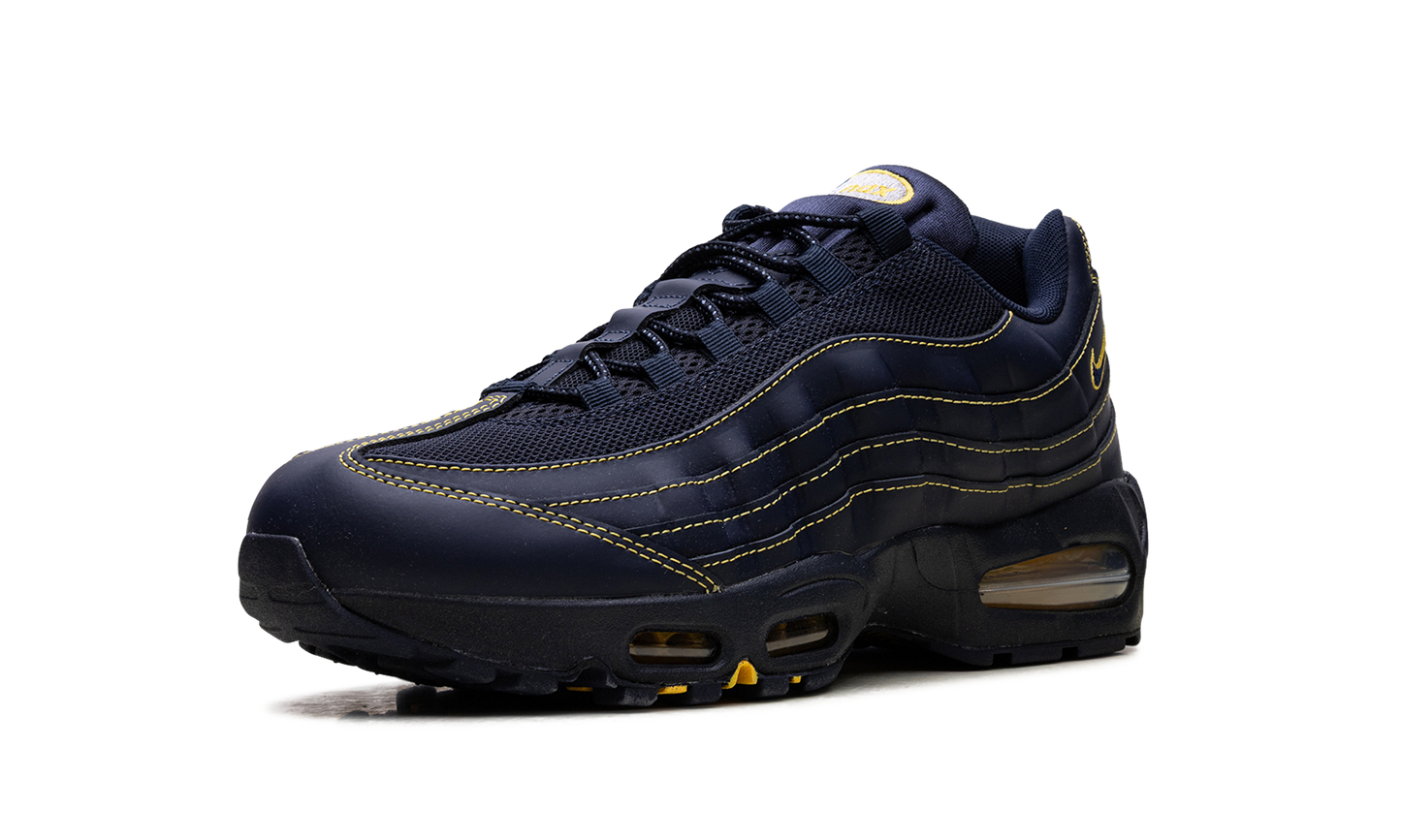 Air Max 95 "Michigan" IB7936 400