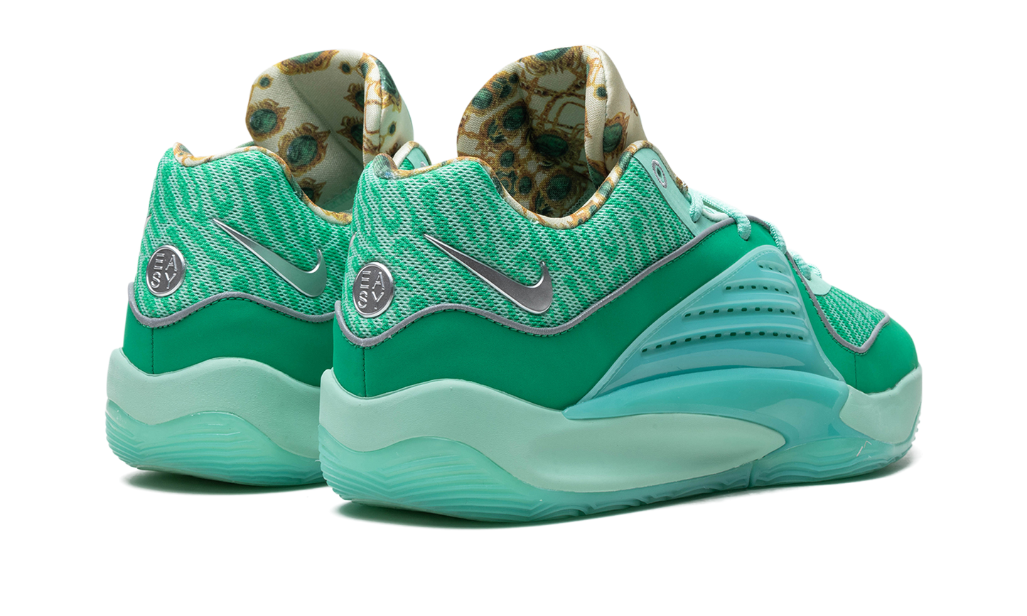 KD 16 "Wanda" DV2917 301