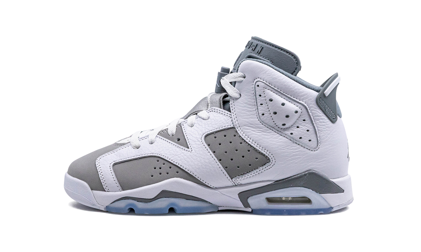 Air Jordan 6 GS "Cool Grey" 384665 100