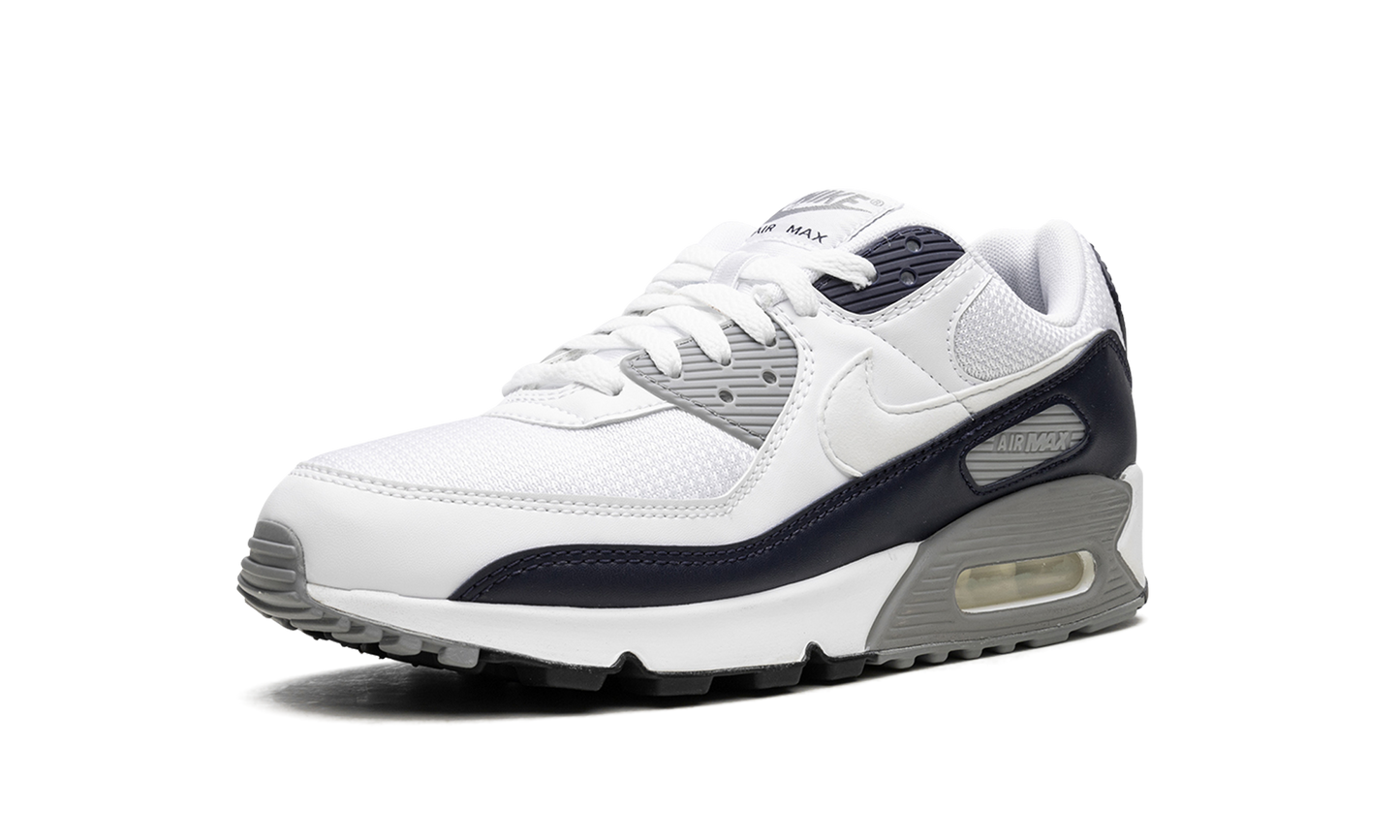 Air Max 90 "Obsidian" CT4352 100