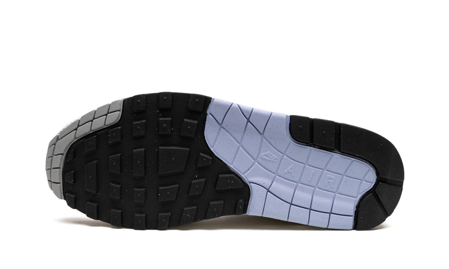 AIR MAX 1 MNS WMNS "Summit White" FB5059 100