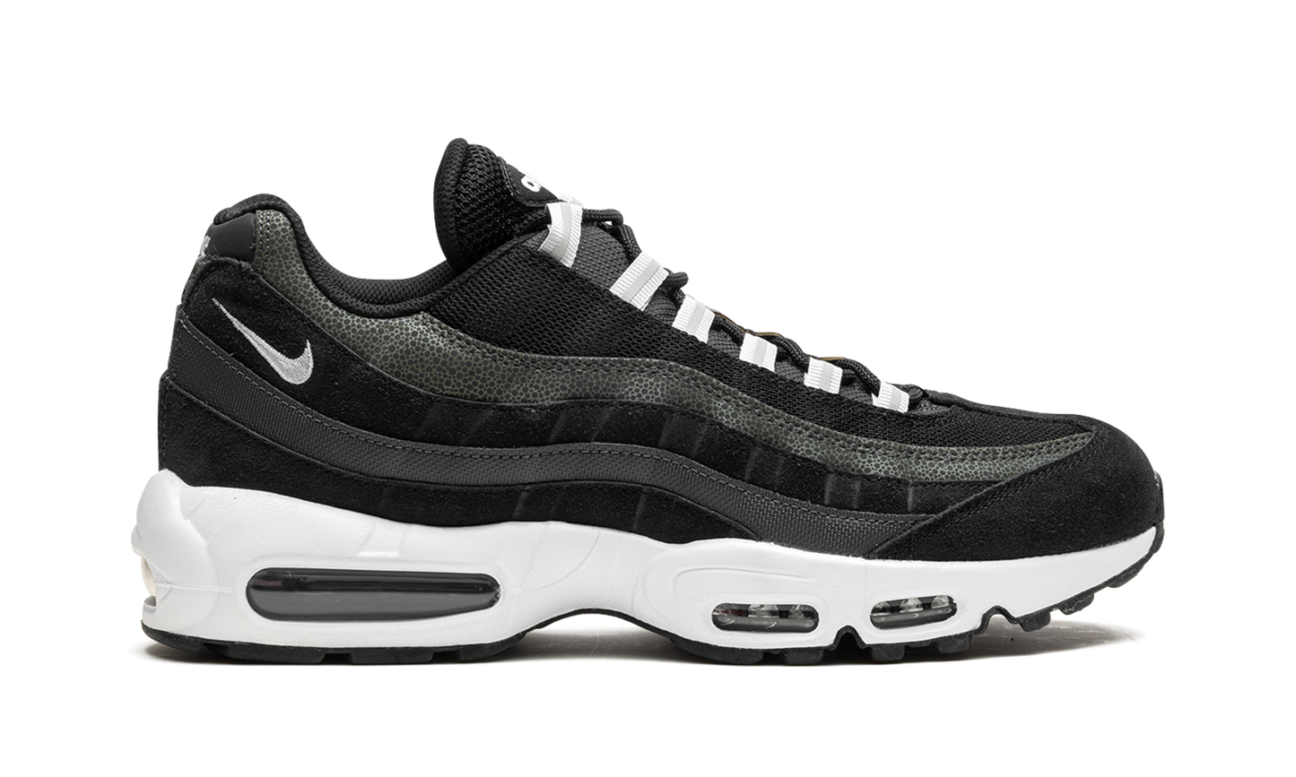 Air Max 95 "Black / Pure Platinum" DM0011 009