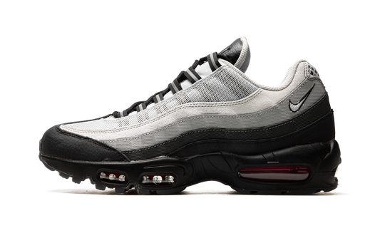 Air Max 95 "Fish Scales" DQ3979 001