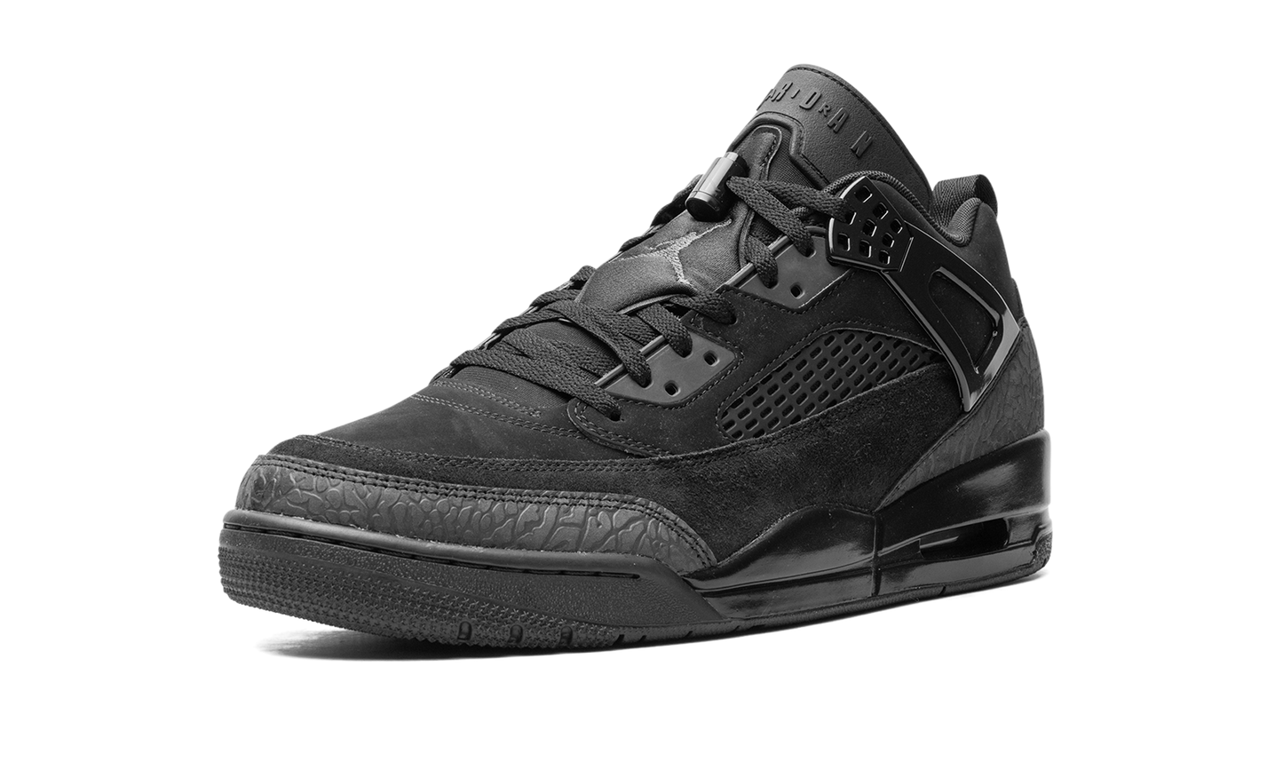 Jordan Spizike Low "Black Cat" FQ1759 001