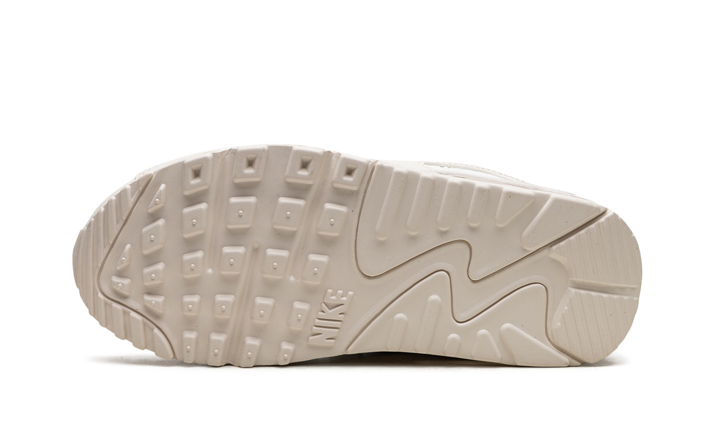 AIR MAX 90 WMNS "Sail Pink Oxford" DX0115 101