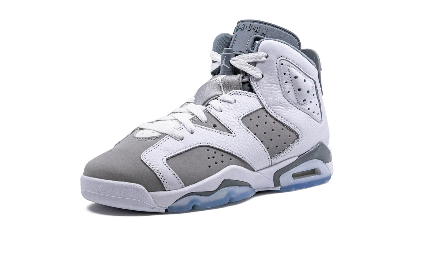 Air Jordan 6 GS "Cool Grey" 384665 100