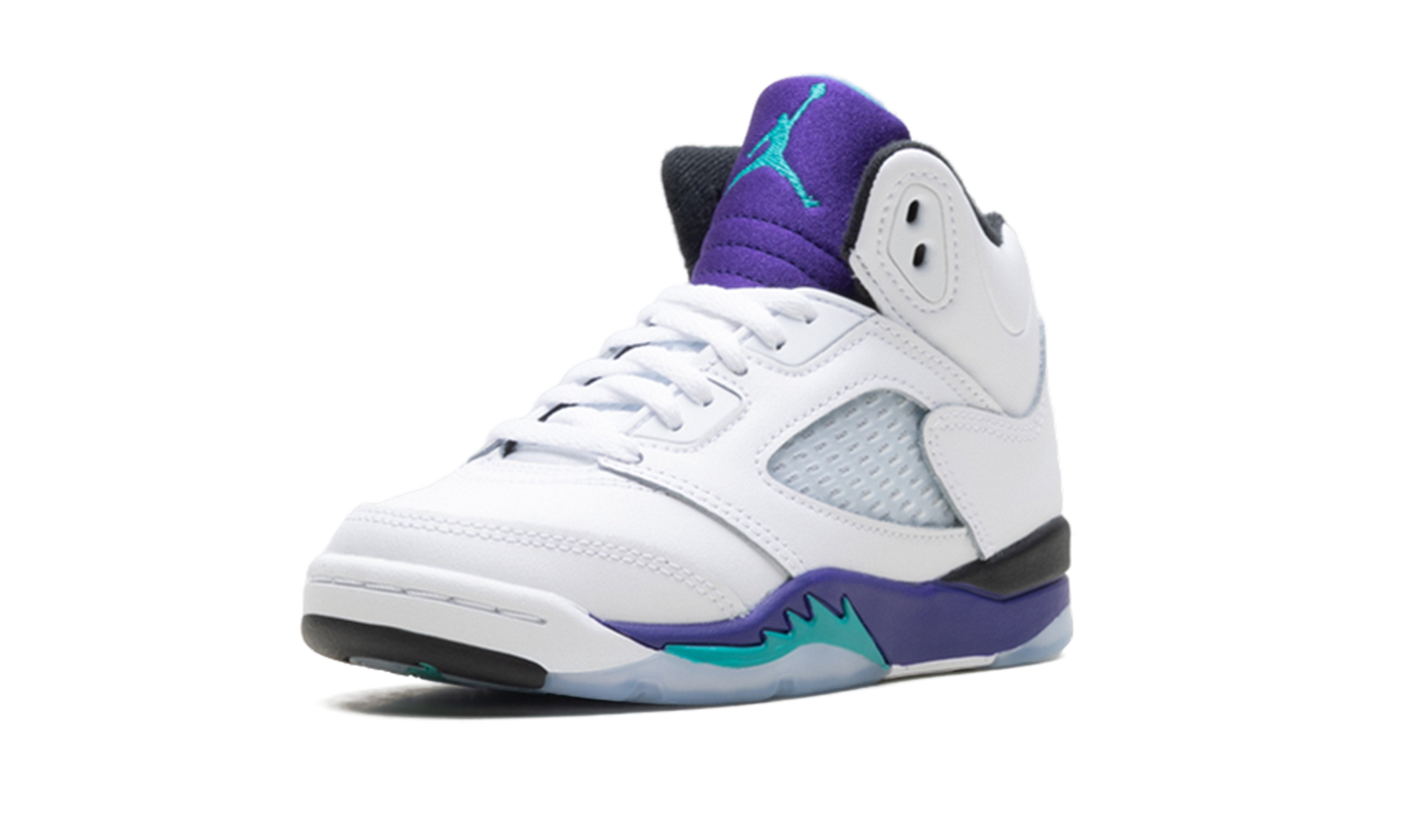 Air Jordan 5 Retro PS "Grape" HQ7979 100