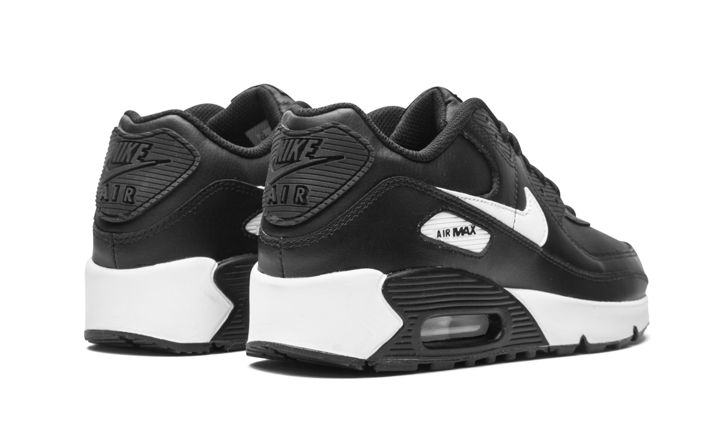 Air Max 90 LTR (GS) CD6864 010