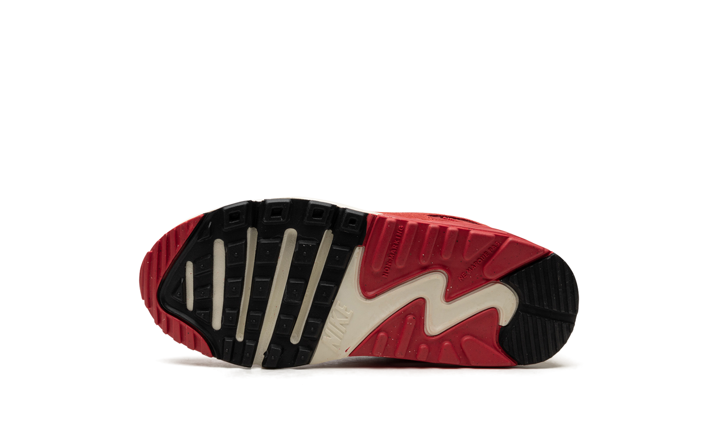 Air Max 90 PS "Sesame" CD6867 200