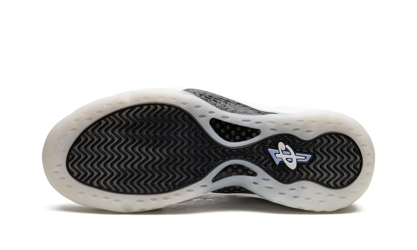 Air Foamposite One "Penny Hardaway PE" DV0815 100