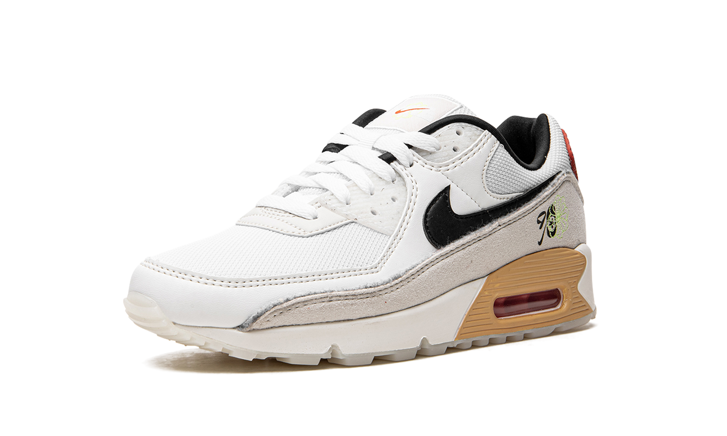 Air Max 90 "Swoosh Fiber" DV3335 100