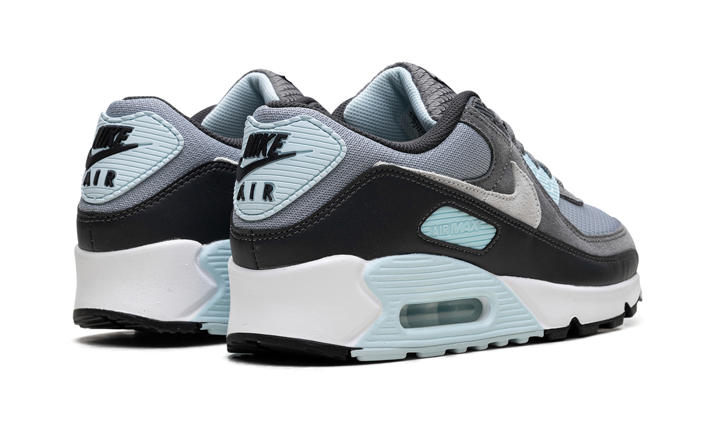 Air Max 90 "Pumice" DM0029 009