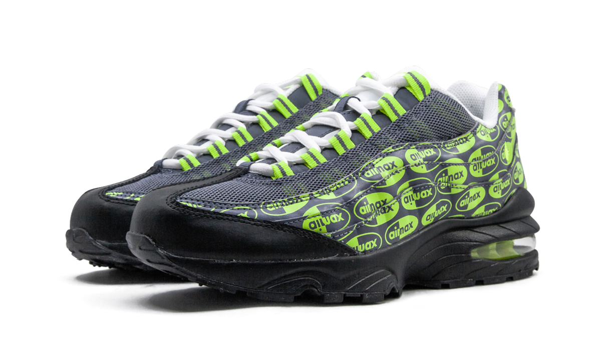 Air Max 95 SE (GS) 922173 004